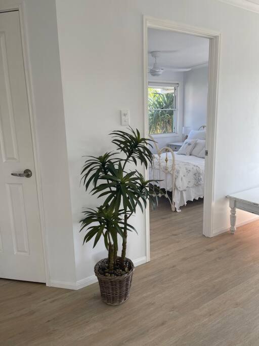 Studio Seaside Self-Contained Apartment Marcoola Exteriér fotografie
